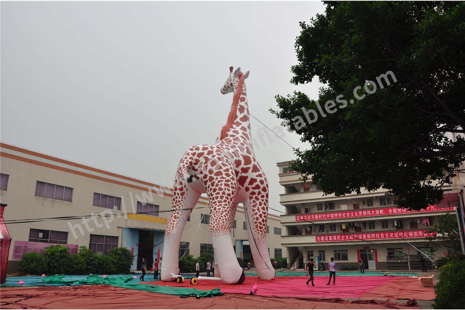 16975308702556160.jpg 16975308702556160.jpg